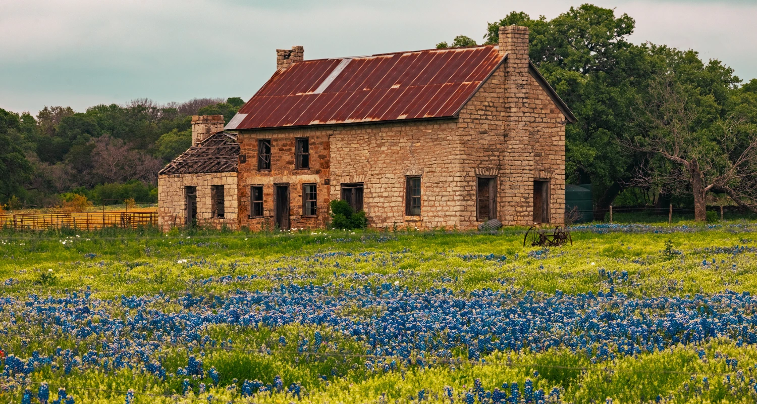 estate planning