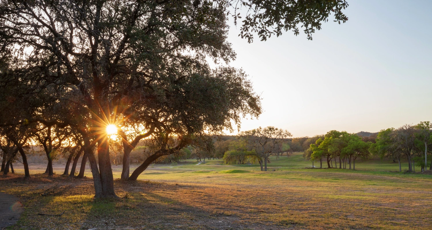 Power of Attorney in Texas